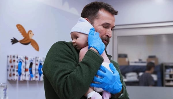 Spotlight: "The Pitt" Season 2